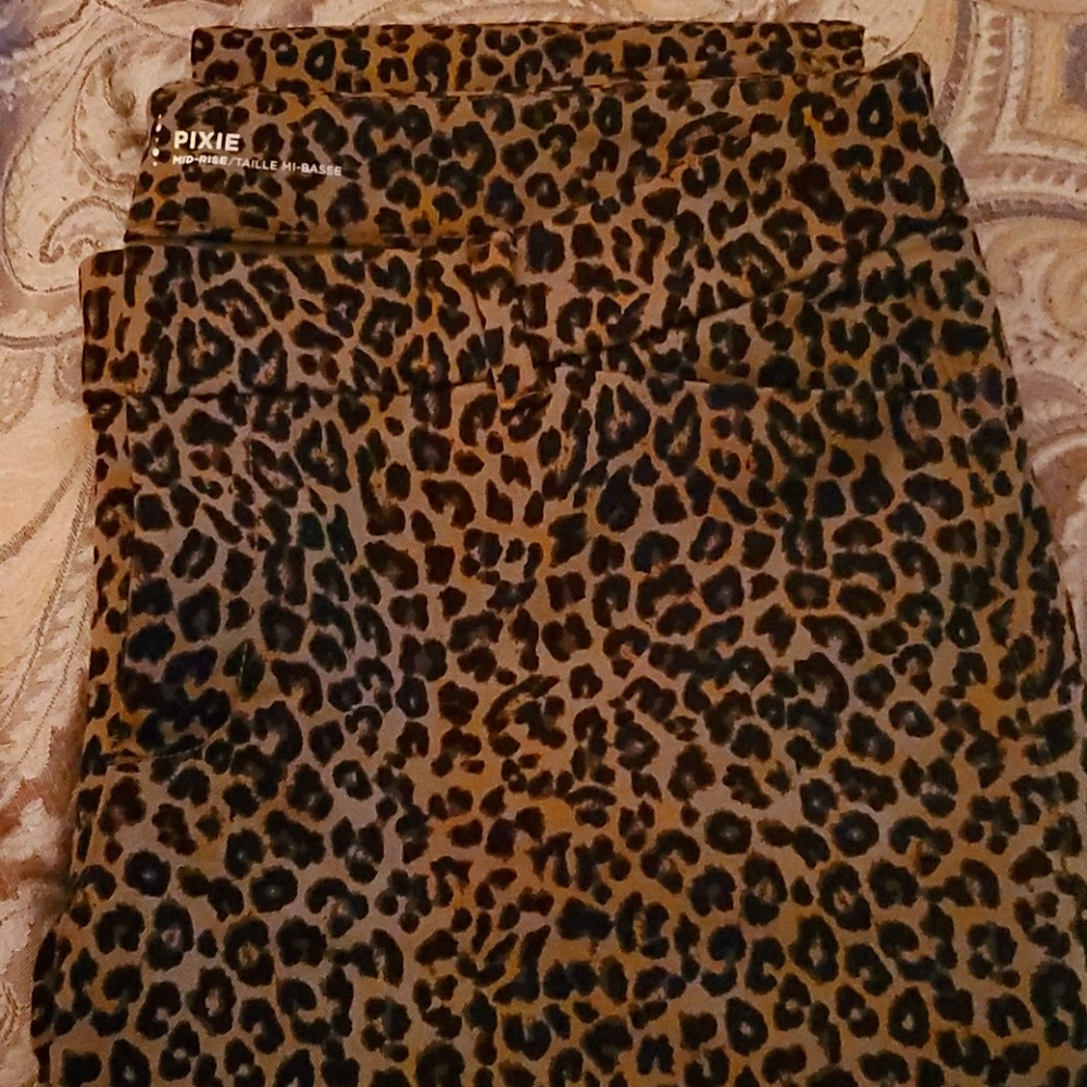 Ladies Pants